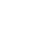 Acme Logo